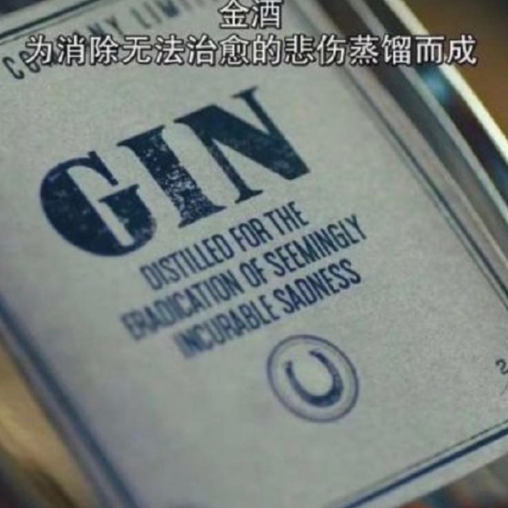 【适饮酒 Drinking Problem】