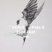 “ PEACE”—Polo G Type Beat