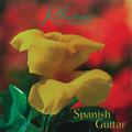 Spanish Guitar