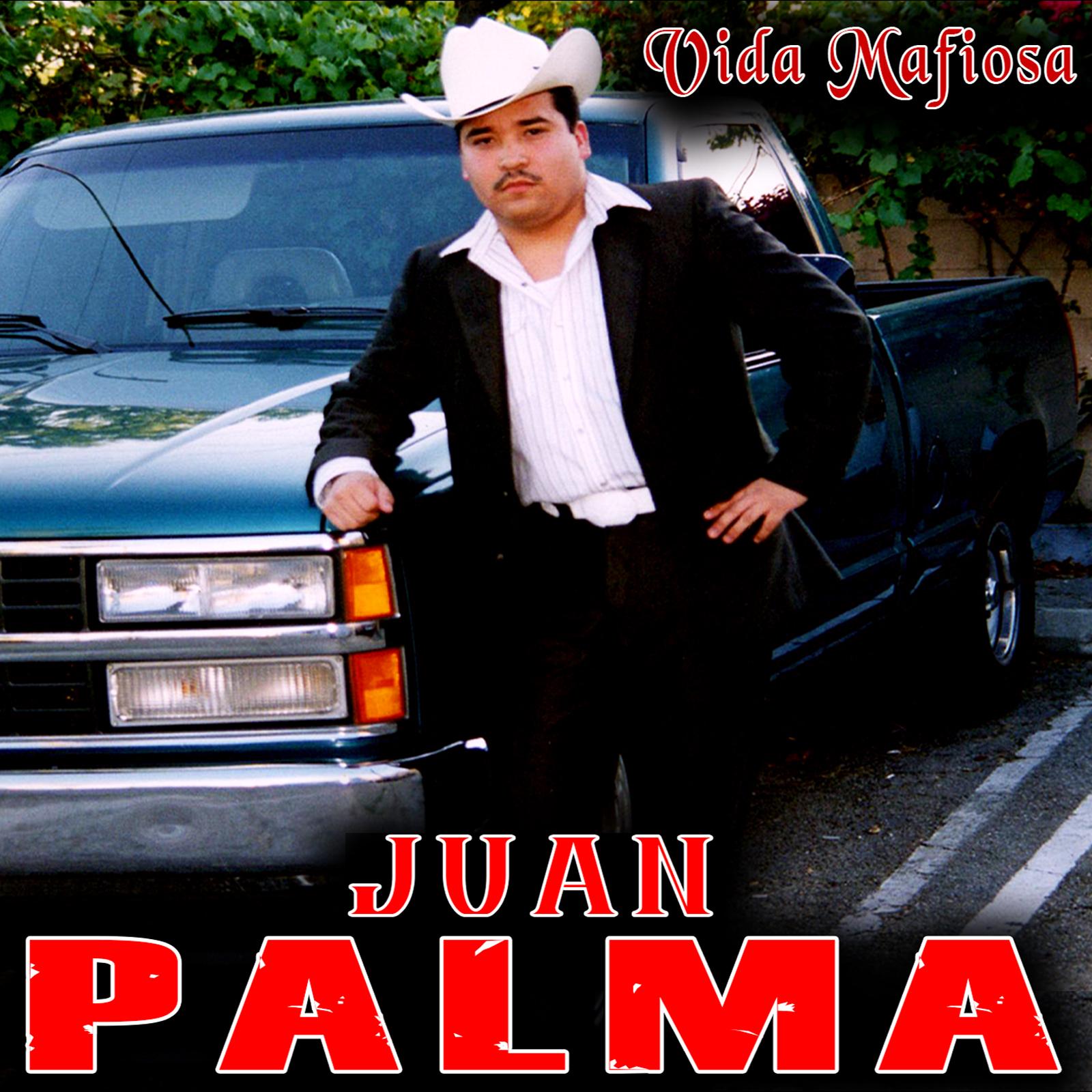 VIDA MAFIOSA
