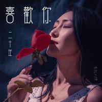 德格达拥-喜欢你二十年（女歌世纪经典纯净无合声铺垫超品立体声）