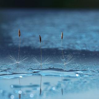 ♥♬【精选】【催眠】〔纯〕自然的声音