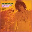 Seeing The Unseeable: The Complete Studio Recordings Of The Flaming Lips 1986-1990专辑