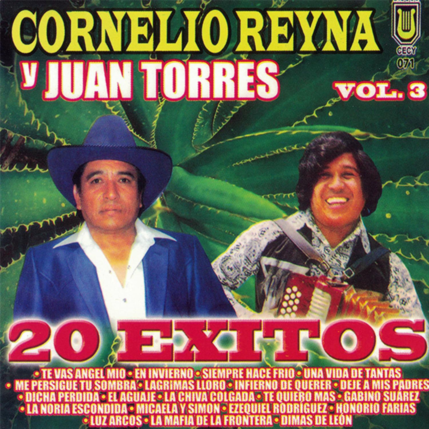 20 Exitos, vol. 3