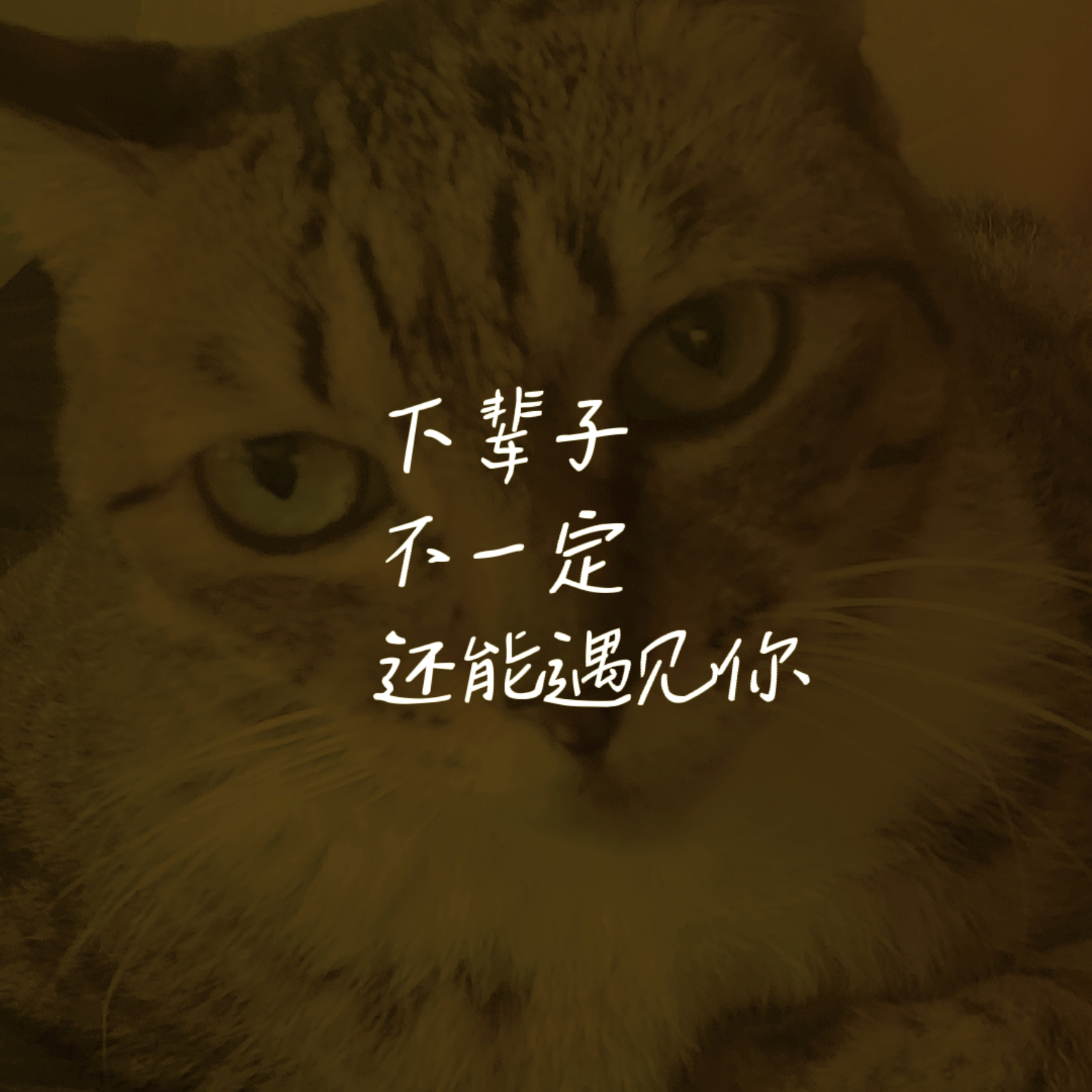 下辈子不一定还能遇见你