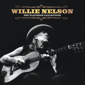 Whiskey River - Willie Nelson (AM karaoke) 带和声伴奏