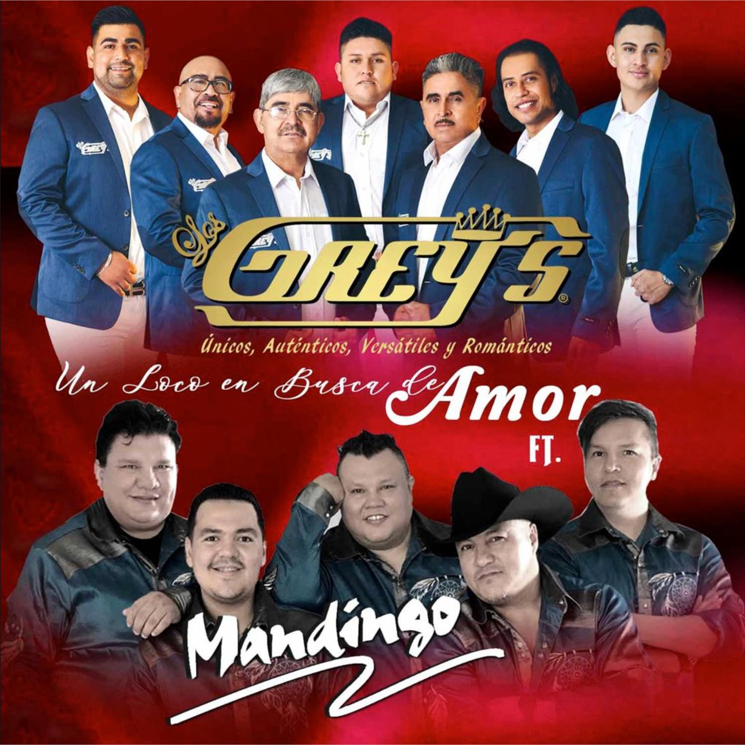 Un Loco en Busca de Amor