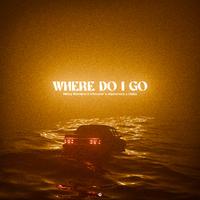 Nicky Romero X Vikkstar X Alpharock X Oaks - Where Do I Go (Extended Mix)