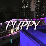 PUPPY专辑