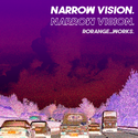 NarrowVision