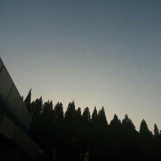仲夏夜之乐2017Shanghai