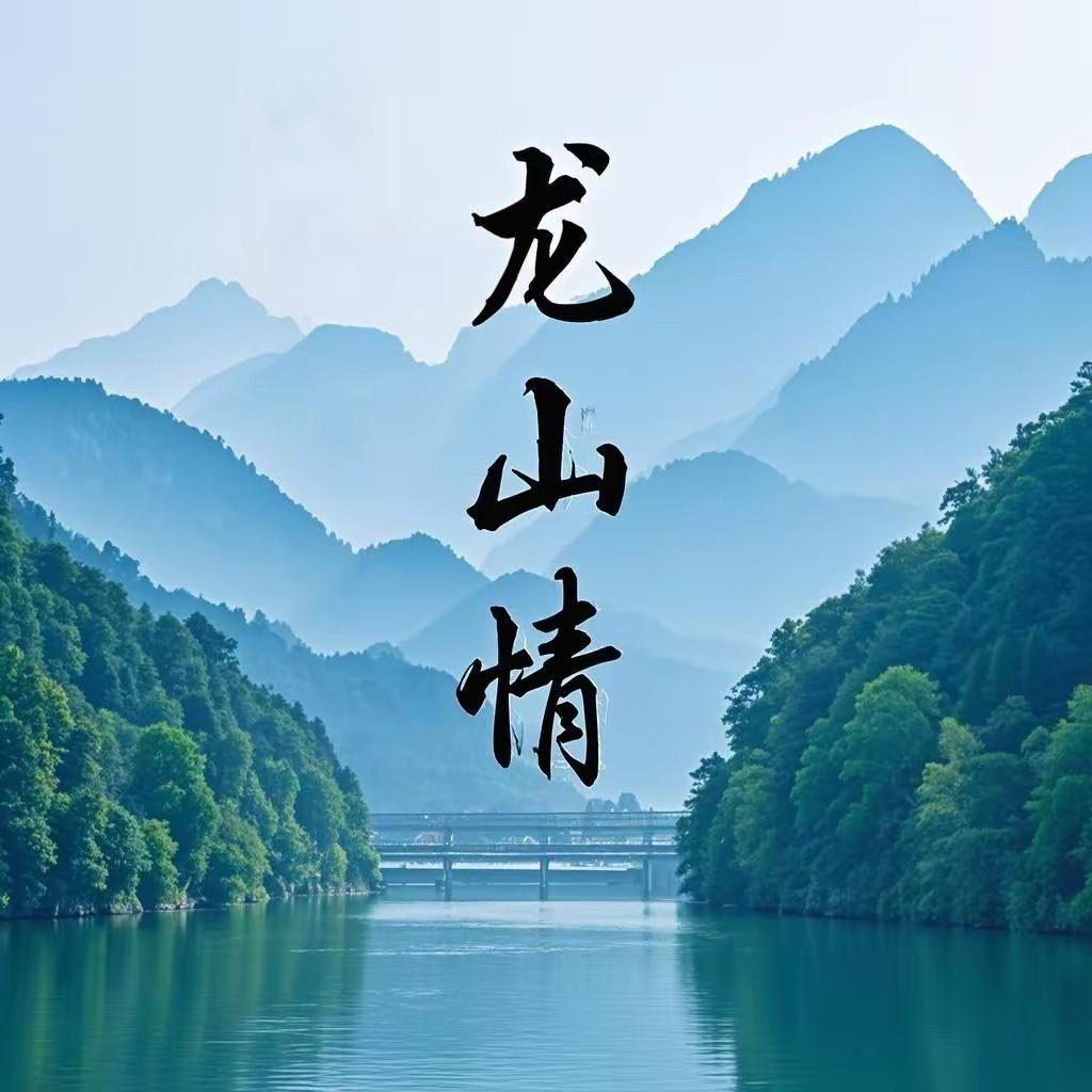 龙山情