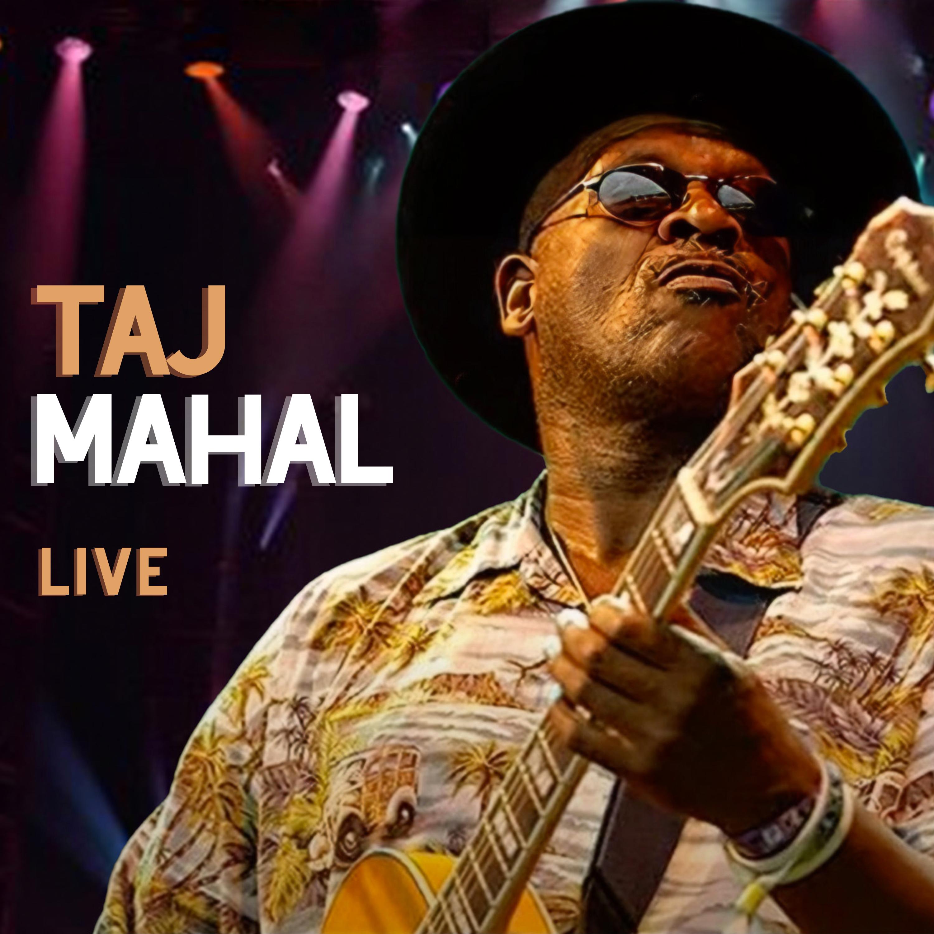 Taj Mahal - Woulda Coulda Shoulda (Live)