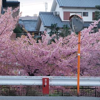 日系｜一秒上瘾 陷入脑内循环的日语歌单