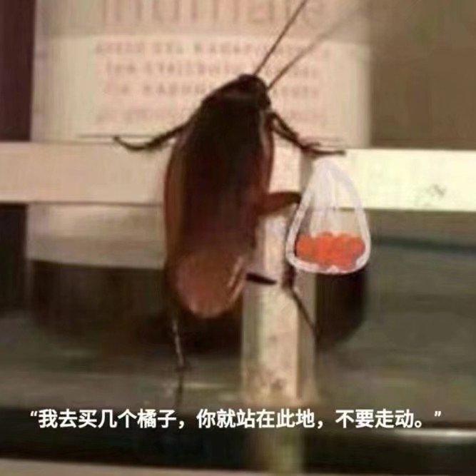 【KTV】中英日女生简单易唱