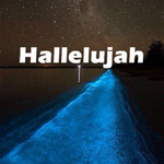 Hallelujah专辑