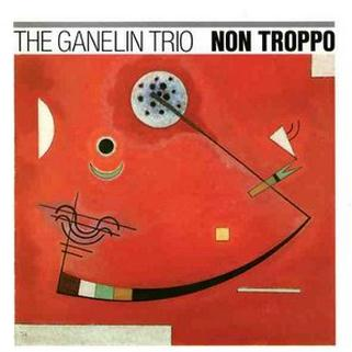 Non Troppo