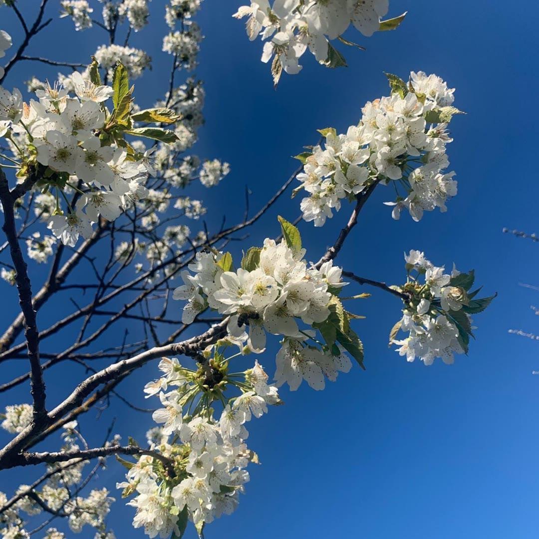 Raaban & Mathew V-Umbrella（Lost Mask / Lonely remix）