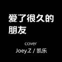 爱了很久的朋友 Cover专辑