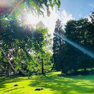 Karry王的日常「王俊凯工作室日常视频BGM」