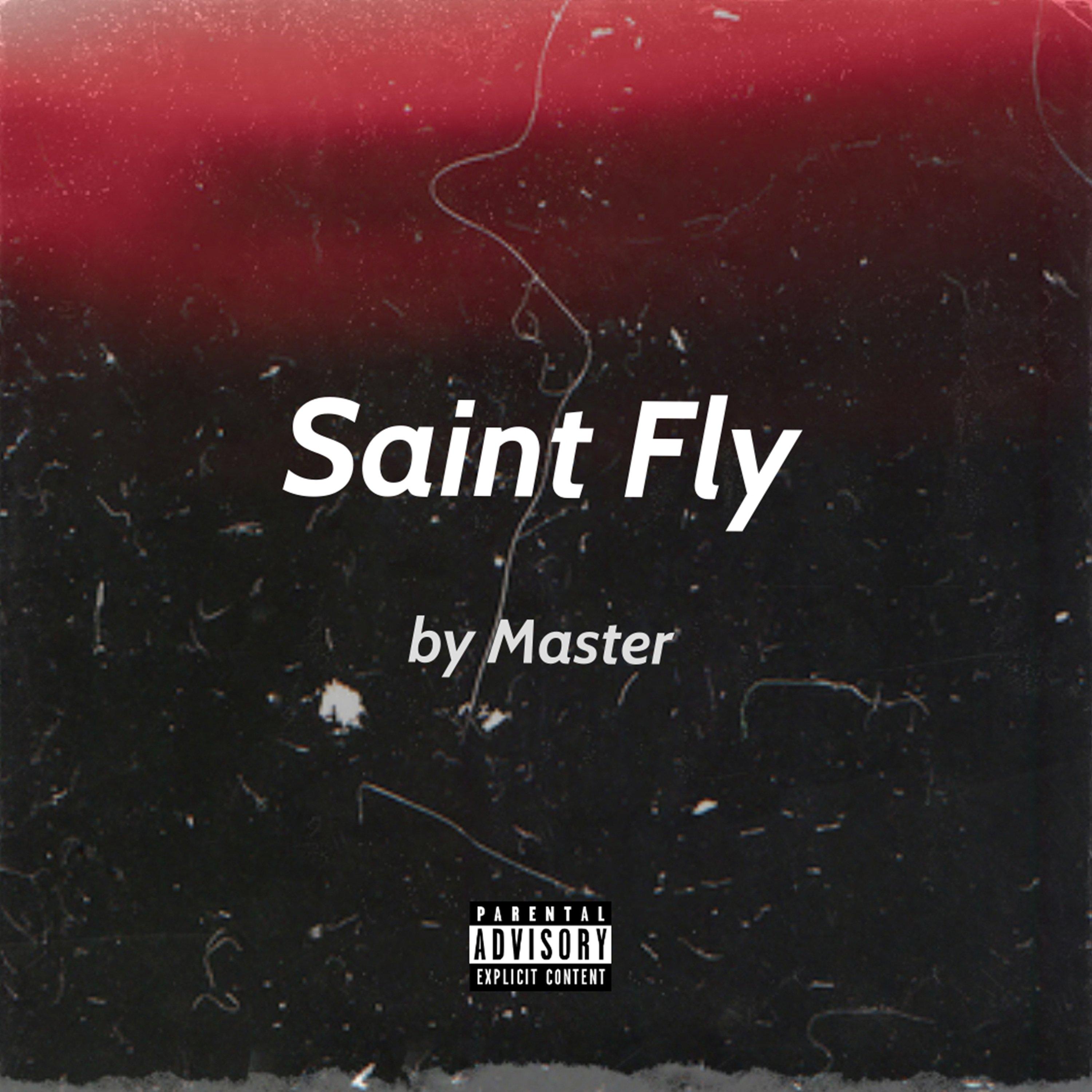 Saint Fly