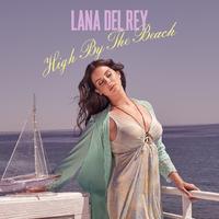 Lana del Rey - High by the Beach (VS karaoke) 带和声伴奏