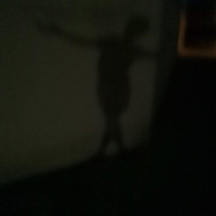 勋伯格·无调性音乐T
