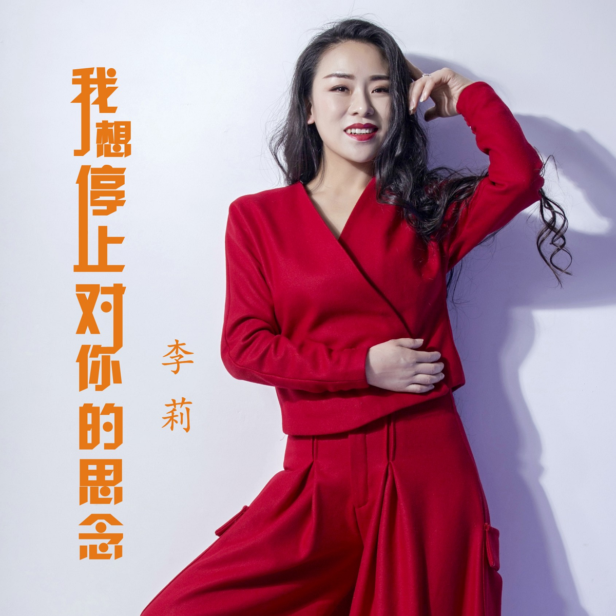 我想停止 对你的思念