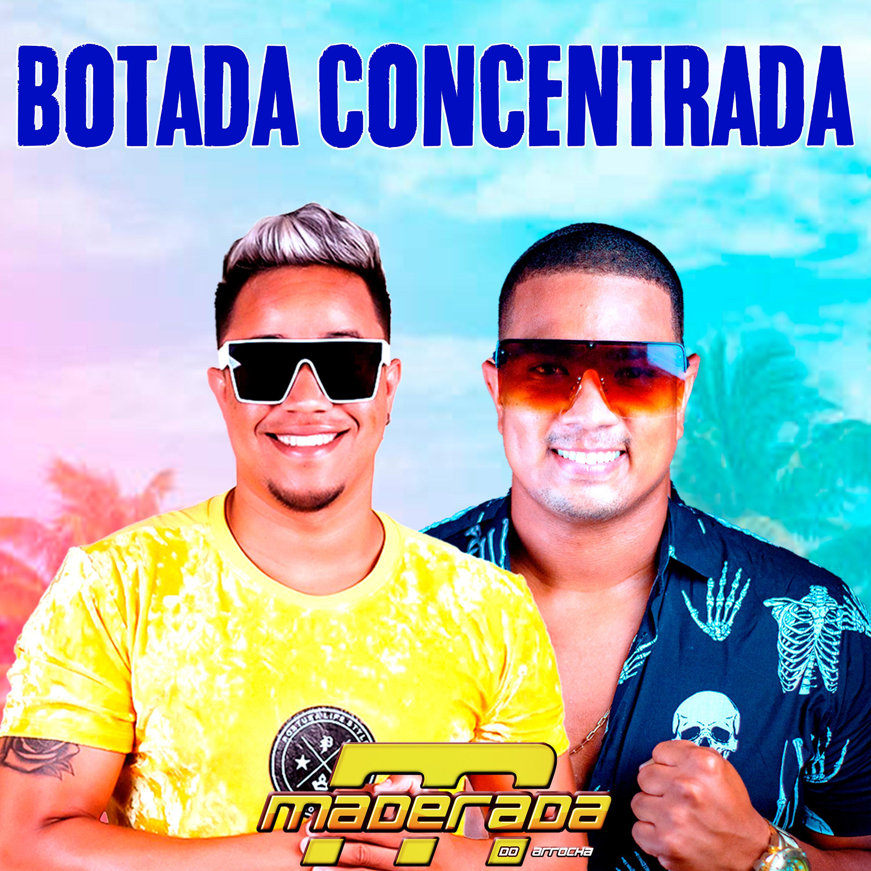 Botada Concentrada - Maderada do Arrocha - 专辑 - 网易云音乐