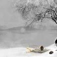 眉间雪