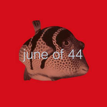 In The Fishtank 6