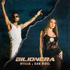 Otilia - Bilionera