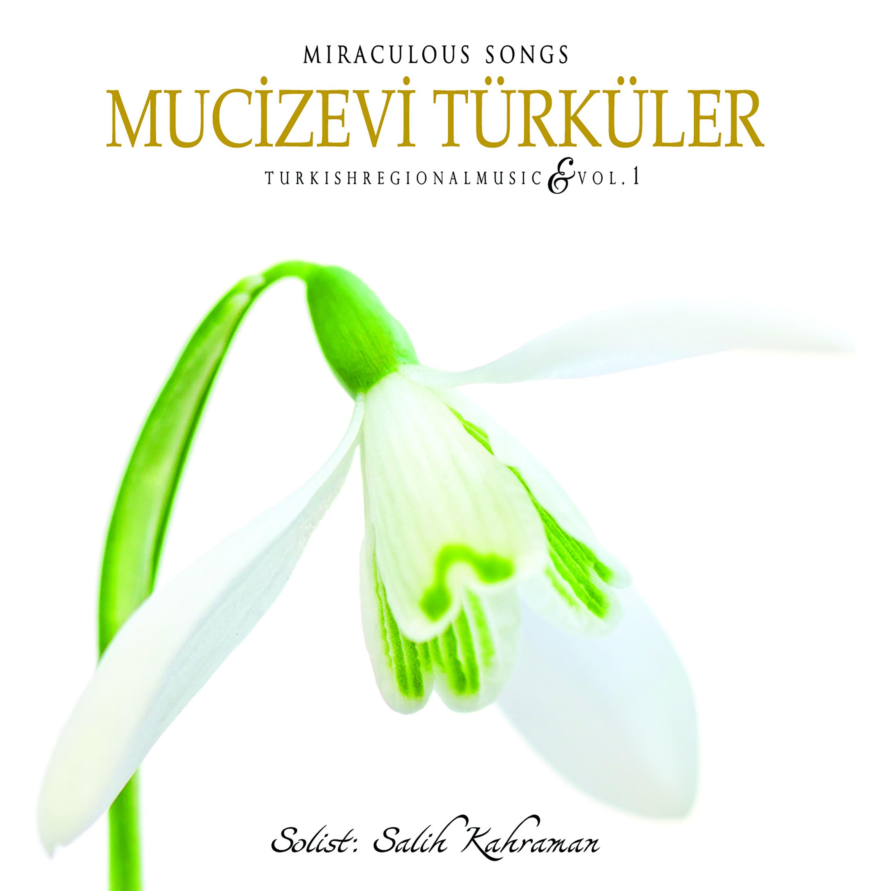Mucizevi Türküler, Vol. 1