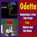 Sometimes I Feel Like Cryin' + Odetta and the Blues