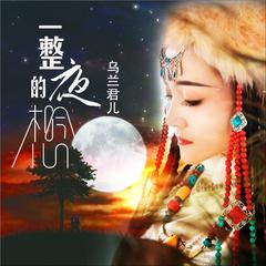 一整夜的想念 (Dj何鹏版伴奏)