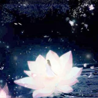 从此再无天人书