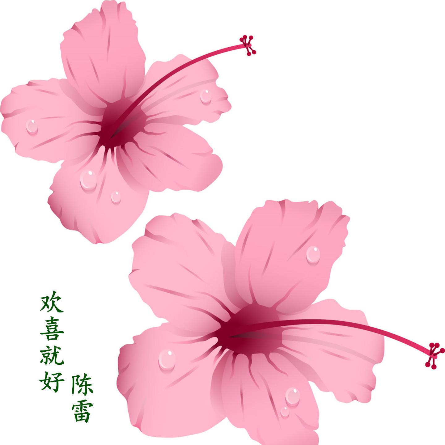 欢喜就好