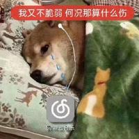 伤心调(云贵山歌)dj伴奏-伤心调(云贵