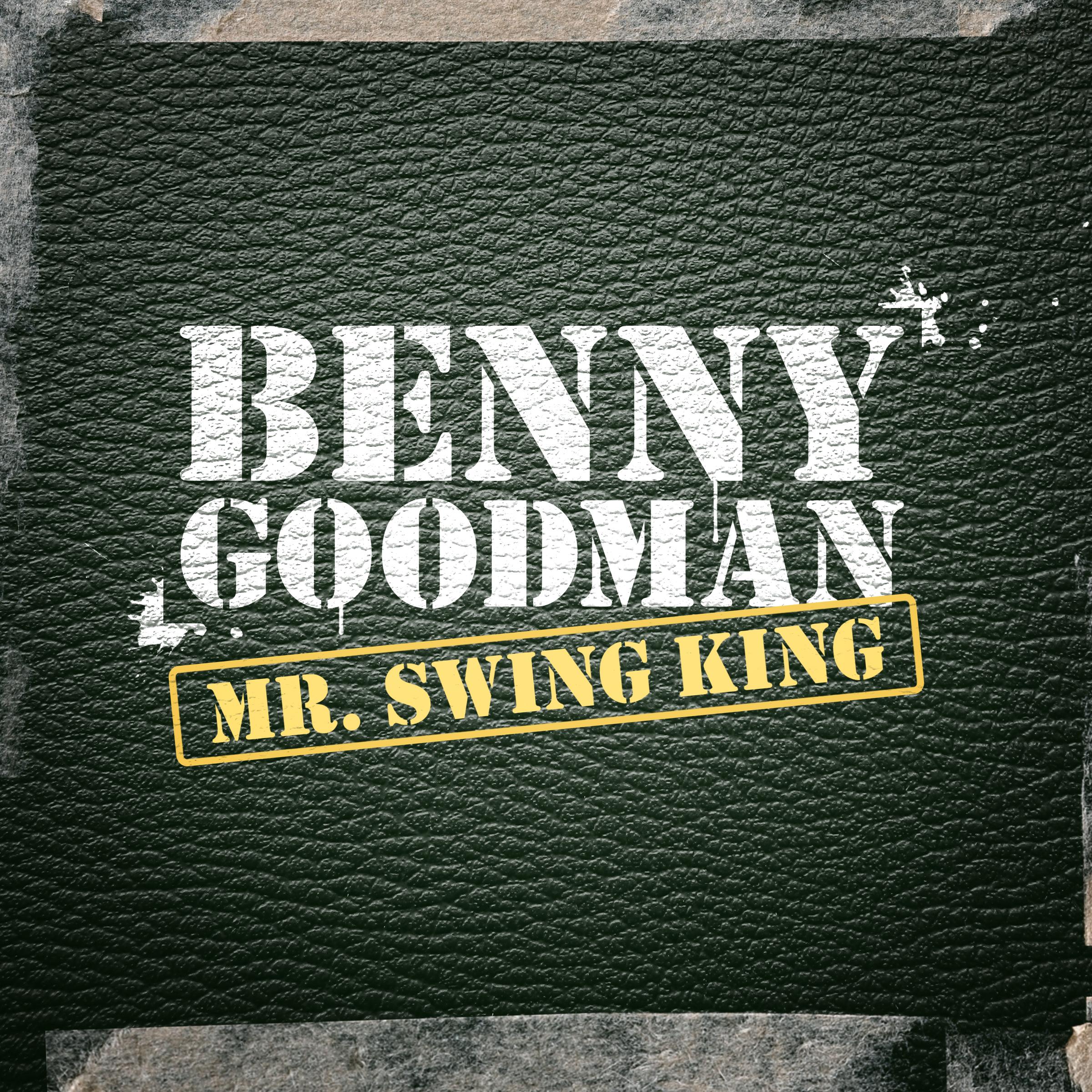 Mr. Swing King