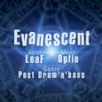 Evanescent