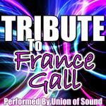 Tribute to France Gall专辑