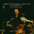 FALCKENHAGEN, A.: 6 Lute Sonatas, Op. 1 (arr. for guitar) (Maruri)