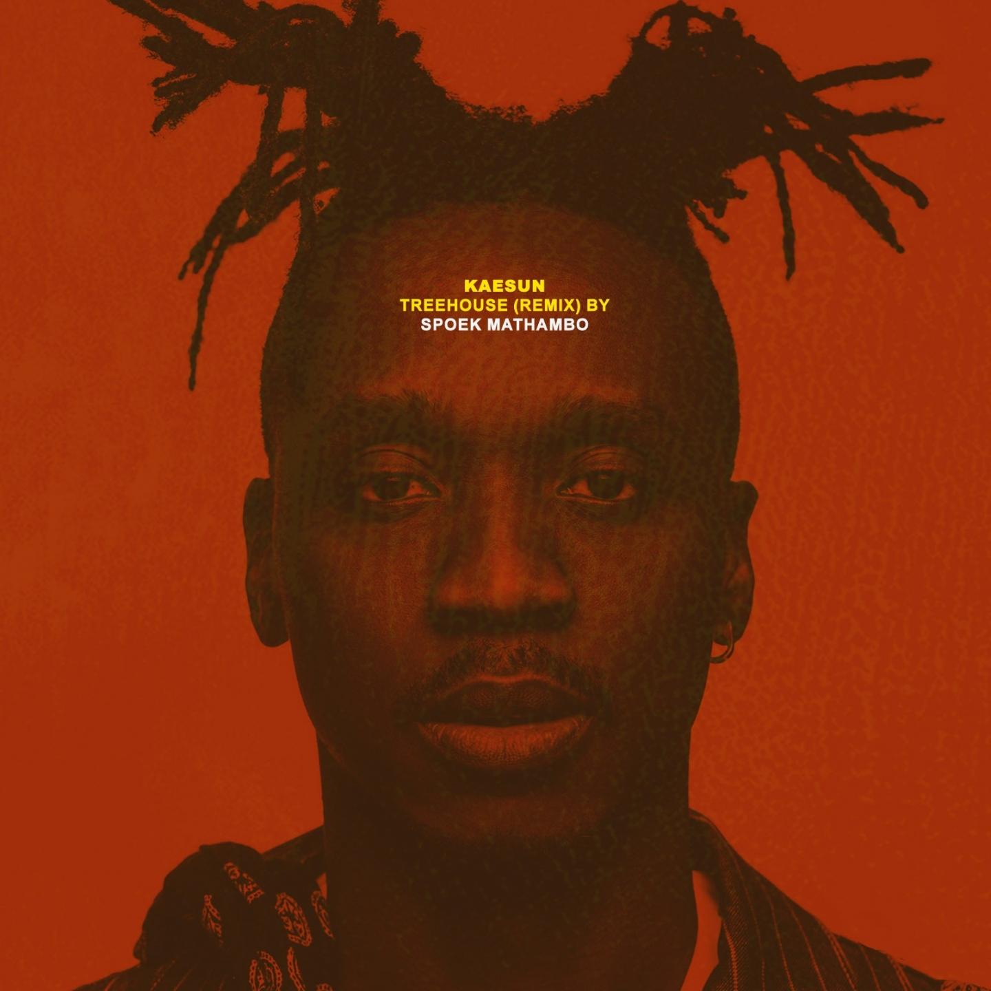 Treehouse (Spoek Mathambo Remix)