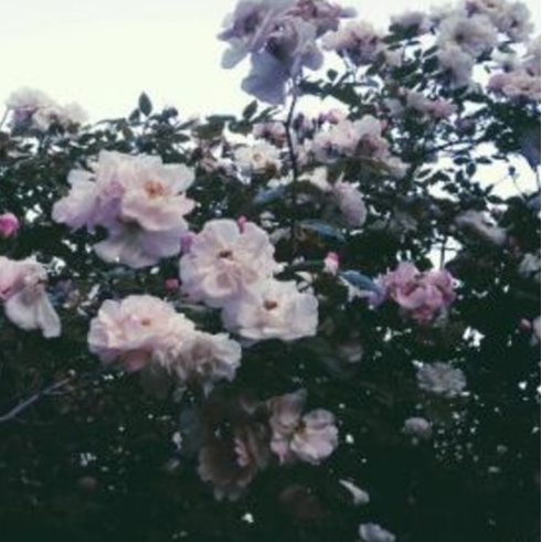 I N T O Y O U R A R M S.