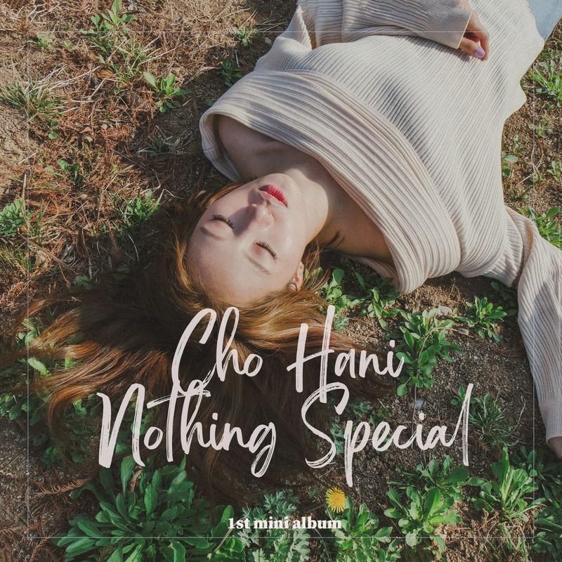 특별하지 않은 노래 (Nothing Special)