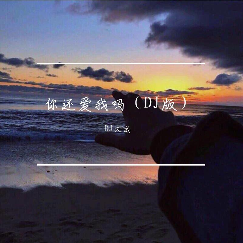 在加纳共和国离婚 (你还爱我吗)（DJ文成remix）