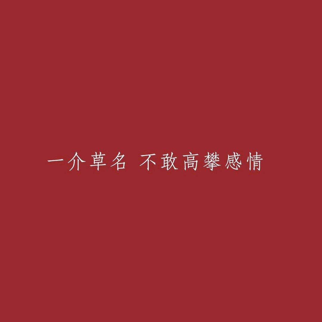 老張的民謠歌单_