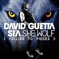 She Wolf (Falling into Pieces) - David Guetta Feat. Sia (unofficial Instrumental) 无和声伴奏