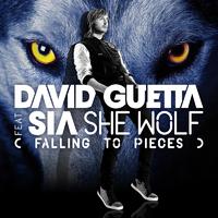 [无和声原版伴奏] She Wolf (falling To Pieces) - David Guetta & Sia (unofficial Instrumental)