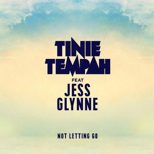 Not Letting Go-Tinie Tempah ft.Jess Glynne 伴奏 （降2半音）